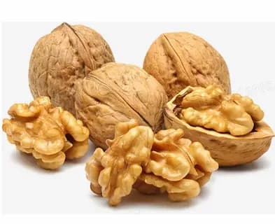 قیمت خرید مغز گردو فسنجانی عمده به صرفه و ارزان